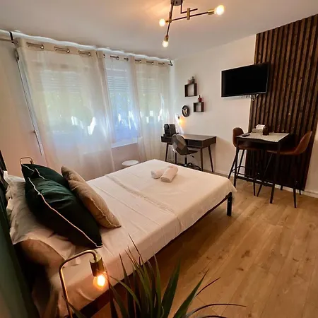 Apartment L'emeraude - - Partdieu *